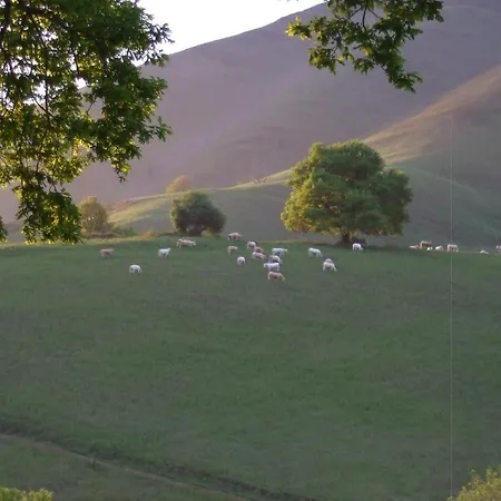 فندق مبيت وإفطار D'hotes Maison Paillet مونتوري