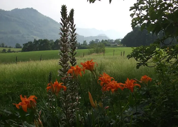 D'hotes Maison Paillet Bed and breakfast *