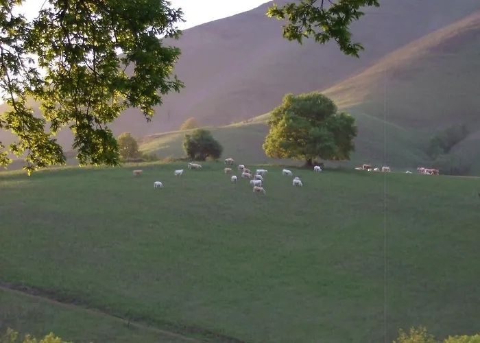 Bed and breakfast D'hotes Maison Paillet Montory